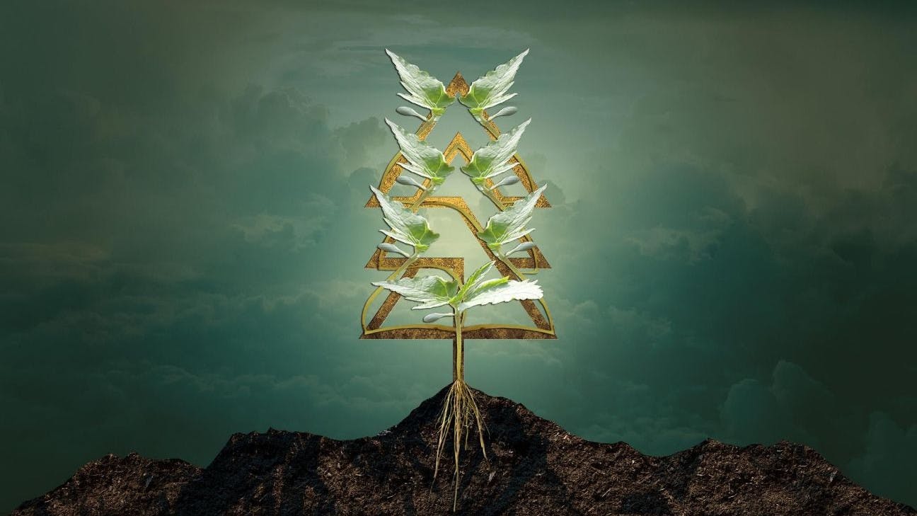 Trees 102nd AVE Portland, OR Dispensary Leafly